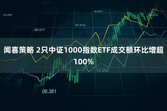 闻喜策略 2只中证1000指数ETF成交额环比增超100%