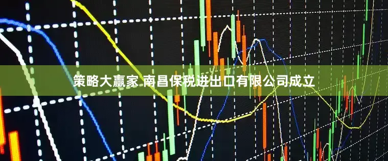 策略大赢家 南昌保税进出口有限公司成立